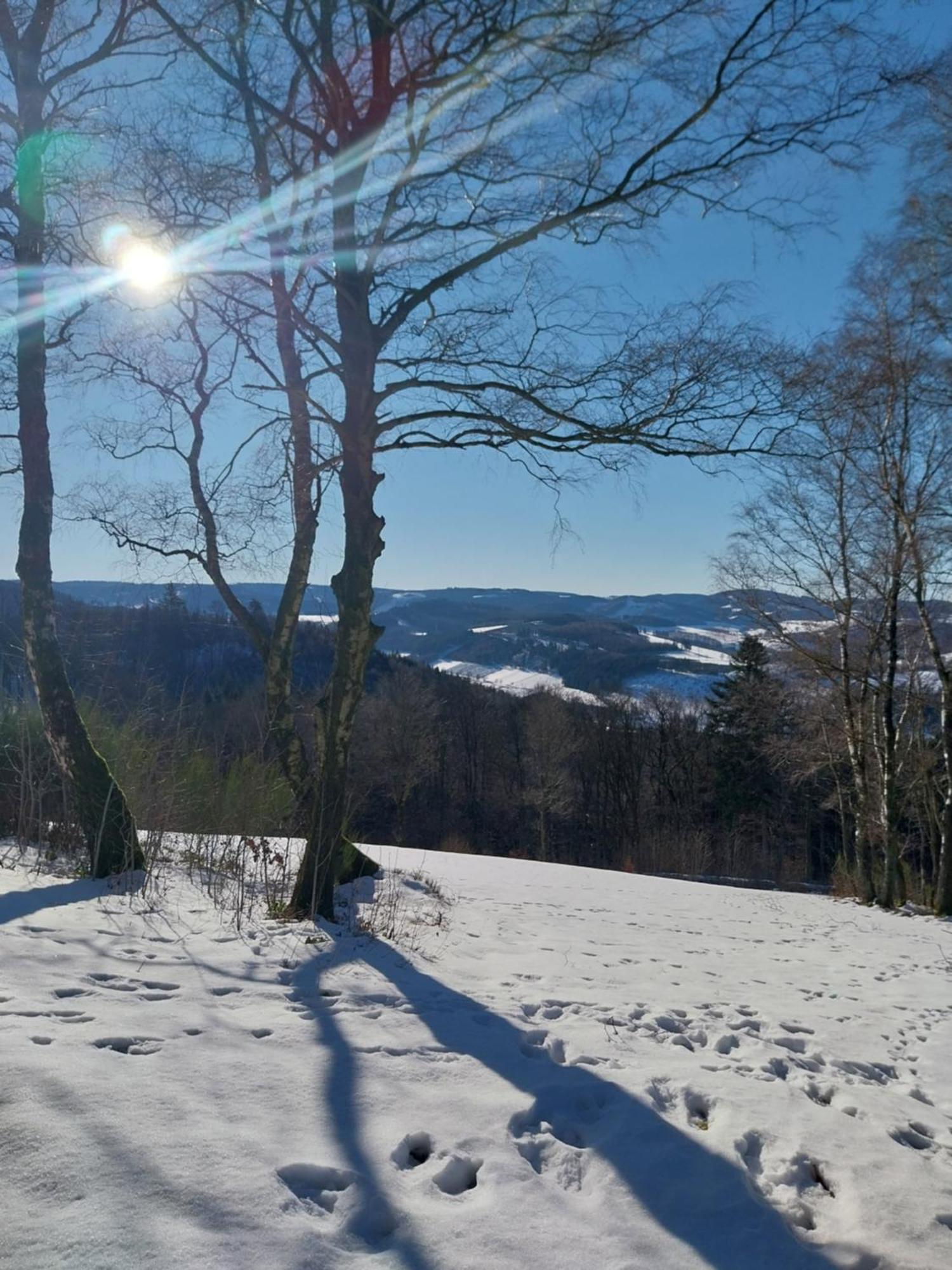 Ferienwohnung Sauerland Fernblick Olsberg Exteriör bild
