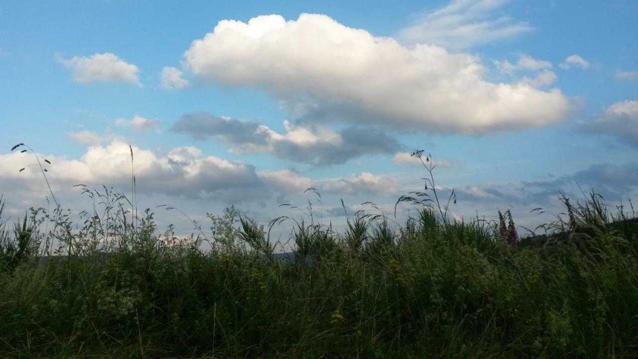 Ferienwohnung Sauerland Fernblick Olsberg Exteriör bild